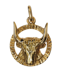 Pendentif taureau Camarguais