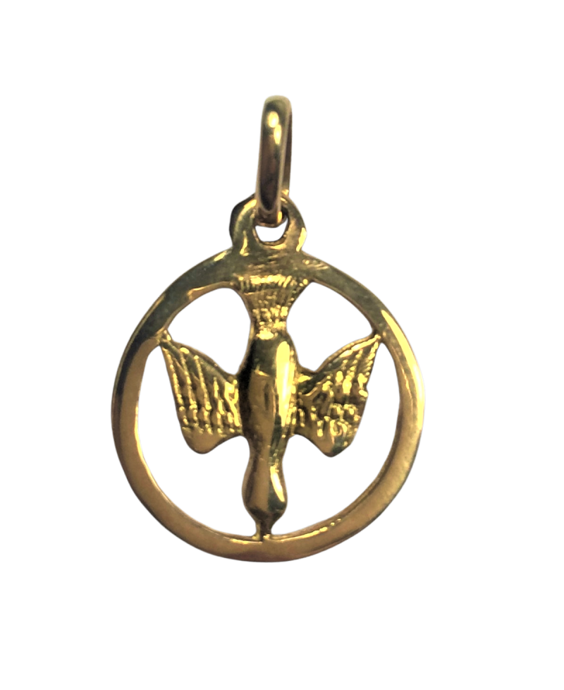 Pendentif colombe cerclé