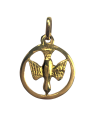 Pendentif colombe cerclé