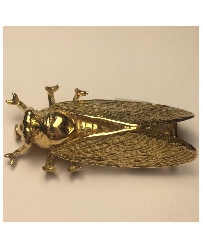 Broche Cigale