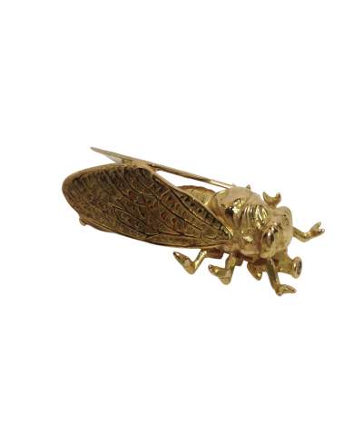Broche Cigale