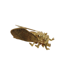 Broche Cigale