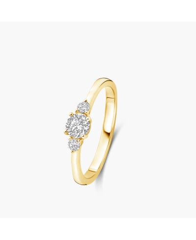 Solitaire accompagné