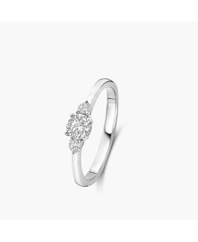 Solitaire accompagné