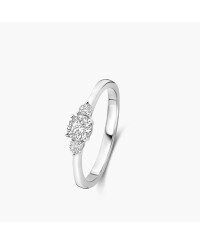 Solitaire accompagné