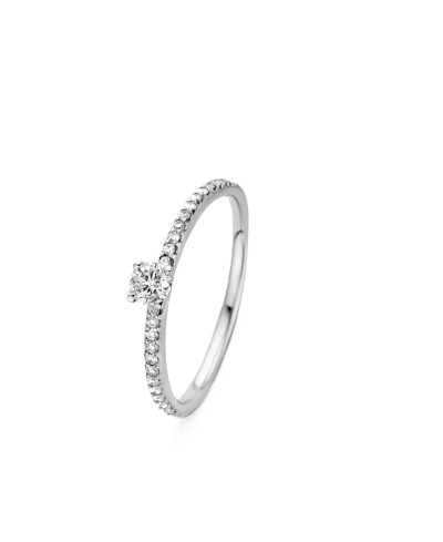 Solitaire acompagné