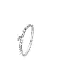 Solitaire acompagné