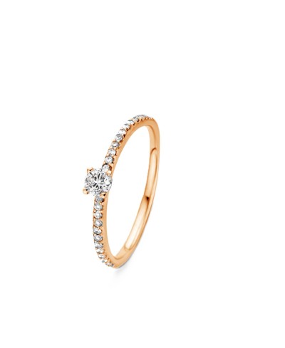 Solitaire accompagné