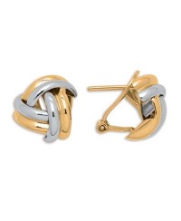 Boucles D'oreilles Fantaisie bicolore
